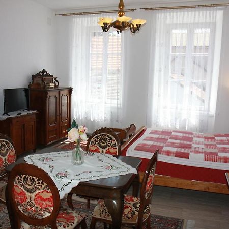 Apartmany Papik Nová Bystřice Zewnętrze zdjęcie