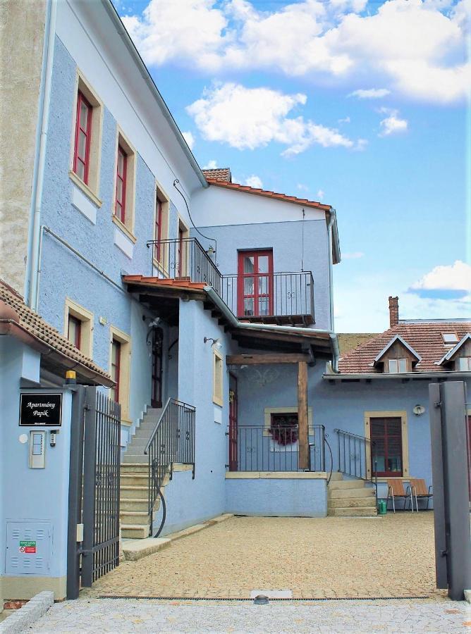 Apartmany Papik Nová Bystřice Zewnętrze zdjęcie