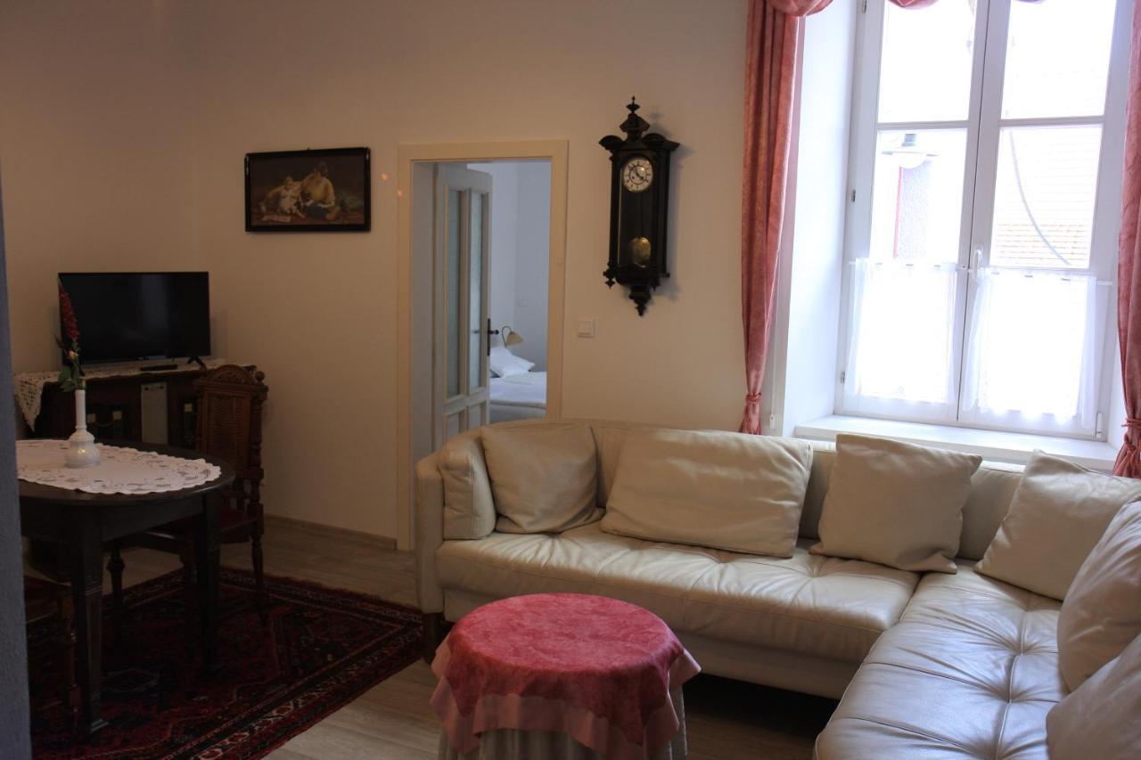 Apartmany Papik Nová Bystřice Zewnętrze zdjęcie